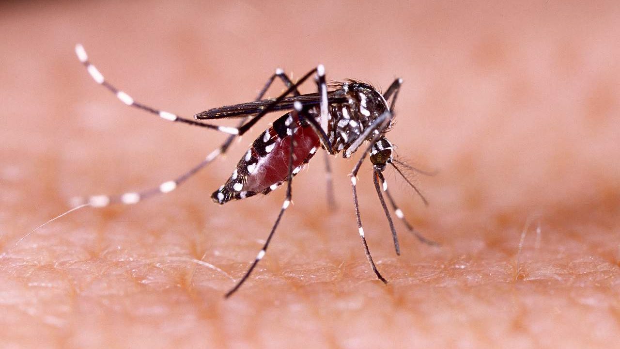 SMS e Marinha realizam inspeções para combate ao Aedes em Vilas Navais