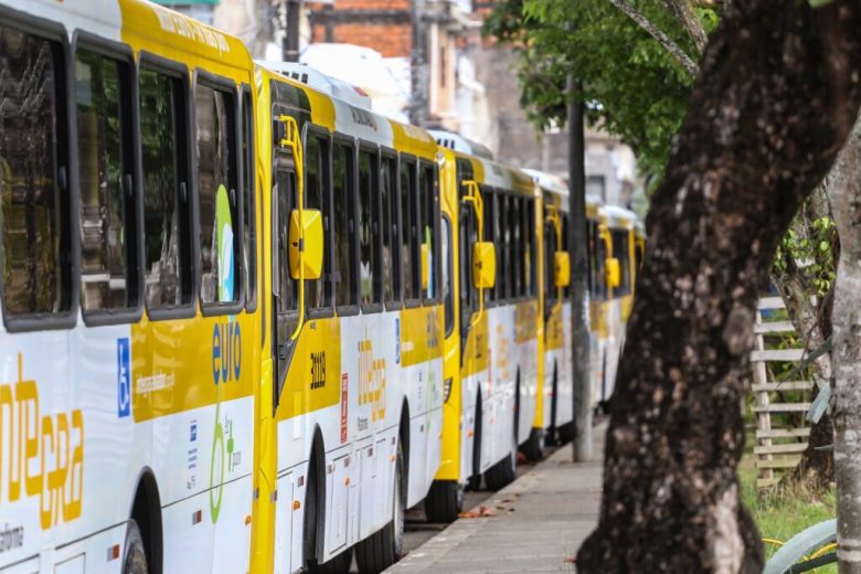 Rodoviários de Salvador Decretam Estado de Greve
